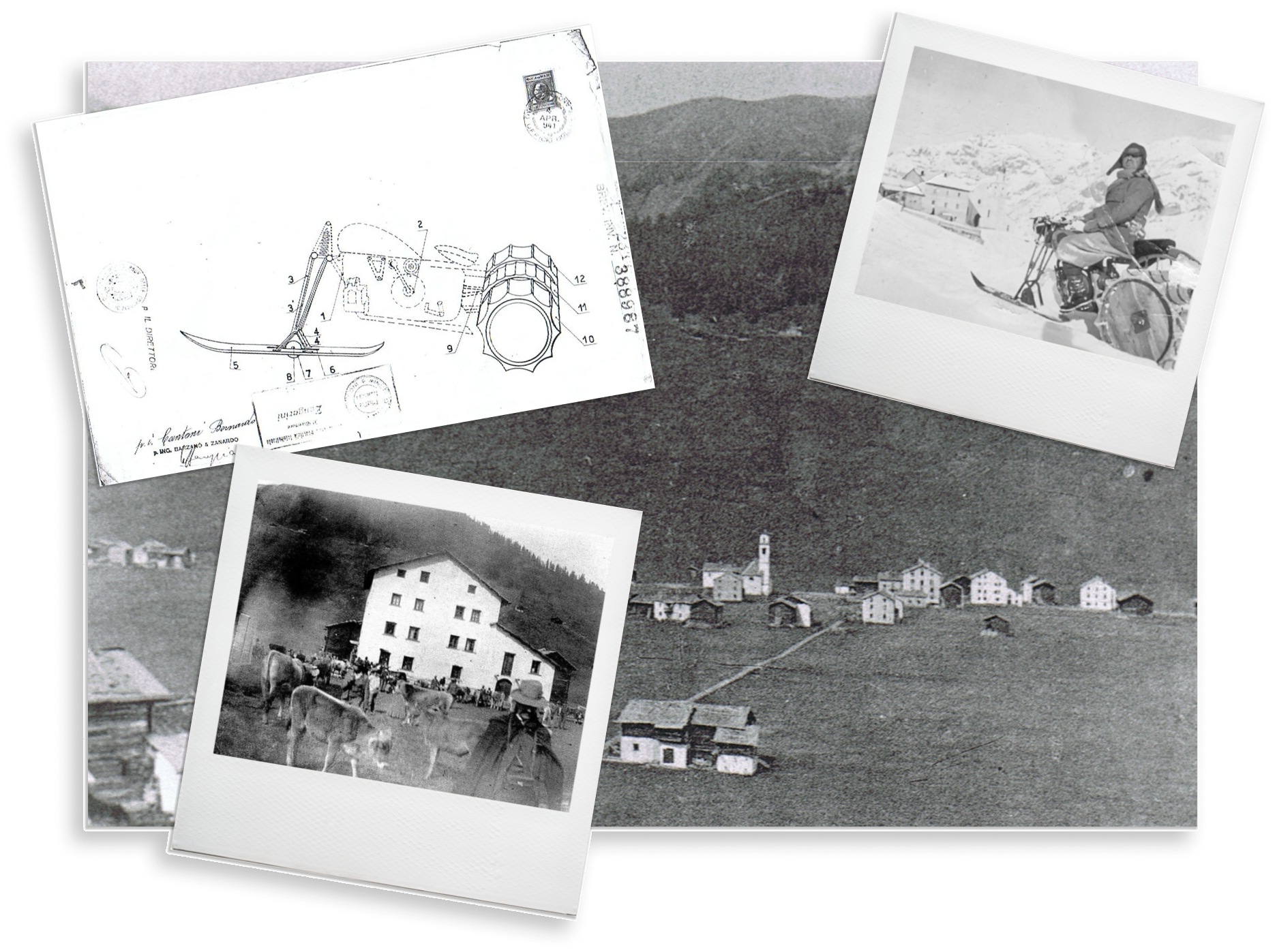 Immagine relativa al progetto