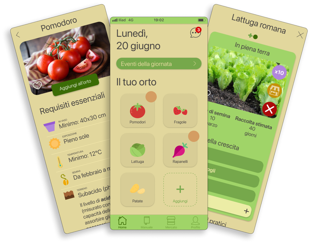 Immagine relativa al progetto